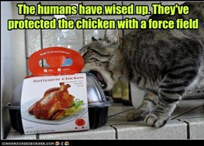 The humans have wised up. They've protected the chicken with a force field