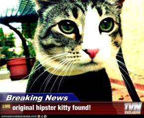 Breaking News - original hipster kitty found!