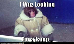 I Wuz Looking  For a Lamp...