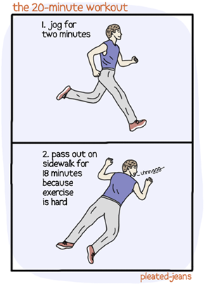 The Twenty Minute Workout