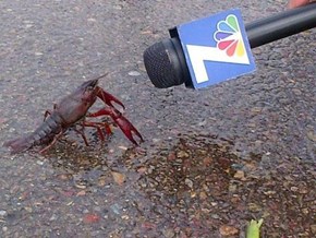 And Now for Public Opinion on the Upcoming Fiscal Cliff, Here is Lobster. Lobster?