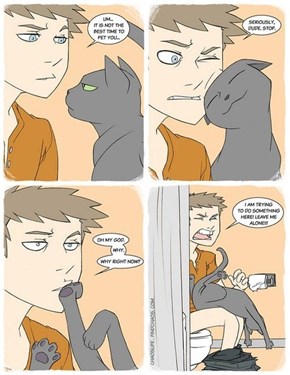 Cats Don't Understand the Words "Inappropriate" and "Inconvenience"
