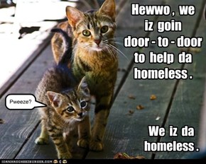 Hewwo ,  we   iz  goin   door - to - door  to  help  da  homeless .