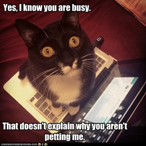 Yes, I know you are busy.