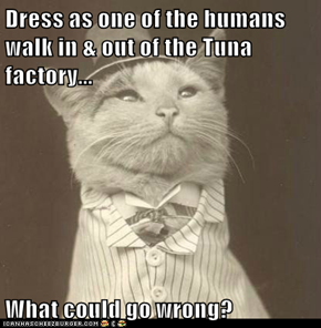 Dress as one of the humans walk in & out of the Tuna factory...  What could go wrong?