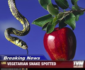 Breaking News - VEGETARIAN SNAKE SPOTTED