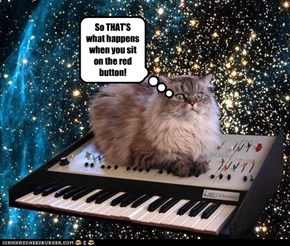 So THAT'S what happens when you sit on the red button!