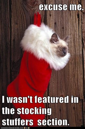 excuse me.  I wasn't featured in the stocking stuffers  section.