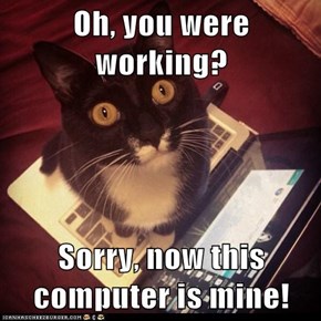 Oh, you were working?  Sorry, now this computer is mine!