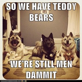 SO WE HAVE TEDDY BEARS  WE'RE STILL MEN DAMMIT