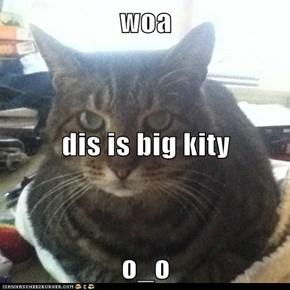 woa dis is big kity o_o