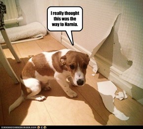 I really thought this was the way to Narnia.