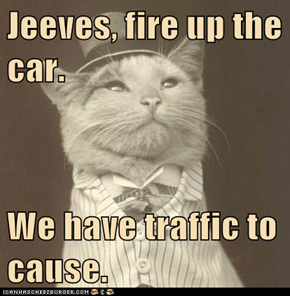 Jeeves, fire up the car.  We have traffic to cause.