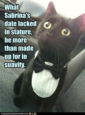 And everybody's crazy 'bout a sharp-dressed cat.