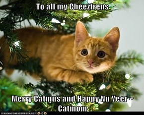 To all my Cheezfrens  Merry Catmus and Happy Nu Yeer ~ Catmom
