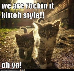 we are rockin it kitteh style!!  oh ya!
