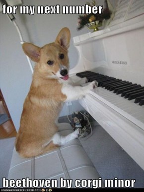 for my next number  beethoven by corgi minor