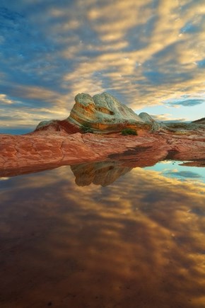  White Pocket, Vermillion Cliffs Wilderness