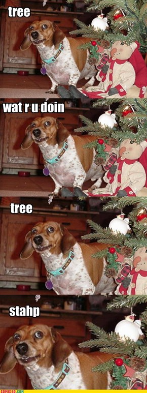 Christmas won't listen