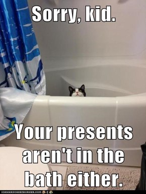 Sorry, kid.  Your presents aren't in the bath either.