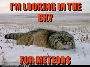 I'M LOOKING IN THE SKY  FOR METEORS