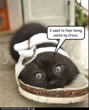 I used to fear being eaten by Crocs.