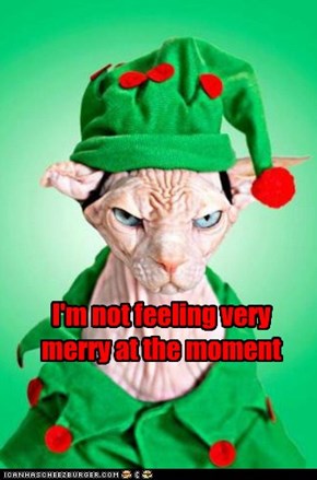 I'm not feeling very merry at the moment