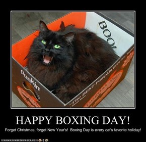 Cheezburger Wishes All You Cats Out There a Very Happy Boxing Day!