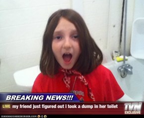 BREAKING NEWS!!! - my friend just figured out i took a dump in her toilet