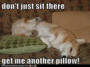 don't just sit there  get me another pillow!
