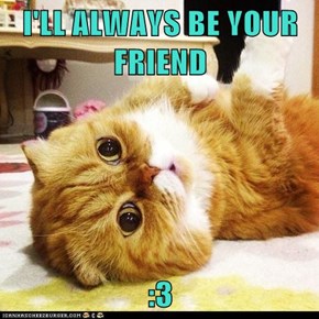 I'LL ALWAYS BE YOUR FRIEND  :3