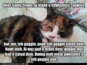 Kitteh, Santa knows.