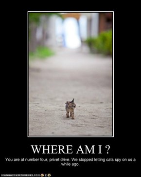 WHERE AM I ?