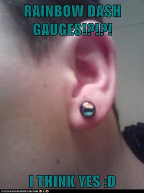 RAINBOW DASH GAUGES!?!?!  I THINK YES :D