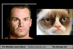 Pro Wrestler Lance Storm Totally Looks Like The Grumpy Cat