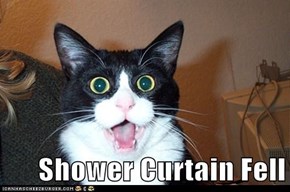 Shower Curtain Fell