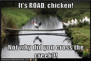 It's ROAD, chicken!  Not why did you cross the creek?!