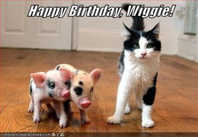 Happy Birthday, Wiggie!