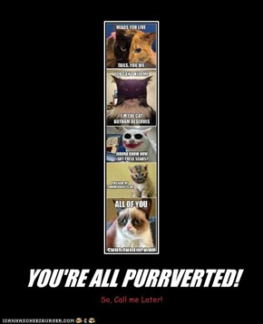 YOU'RE ALL PURRVERTED!