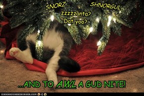 And to awl a gud nite!