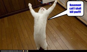 Ceiling Cat rage.Who'd a' thought it?