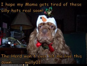 I hope my Mama gets tired of these silly hats real soon!  The Herd won't ever let me live this down.      wally01
