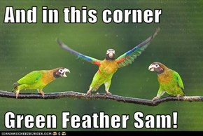 And in this corner  Green Feather Sam!