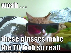 woah . . .  these glasses make the TV look so real!