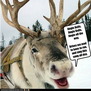 Reindeer.