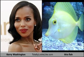 Kerry Washington Totally Looks Like this fish