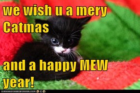 we wish u a mery Catmas  and a happy MEW year!