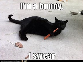 I'm a bunny,  I swear
