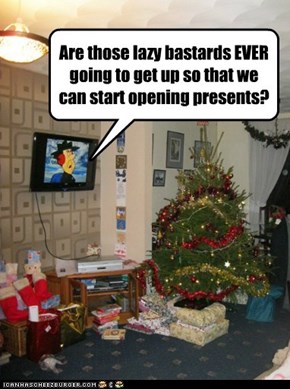Are those lazy bastards EVER going to get up so that we can start opening presents?
