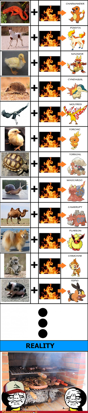 The reality of the Pokemon